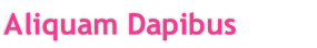 Aliquam Dapibus
